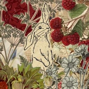 Meet your Posher, Mia